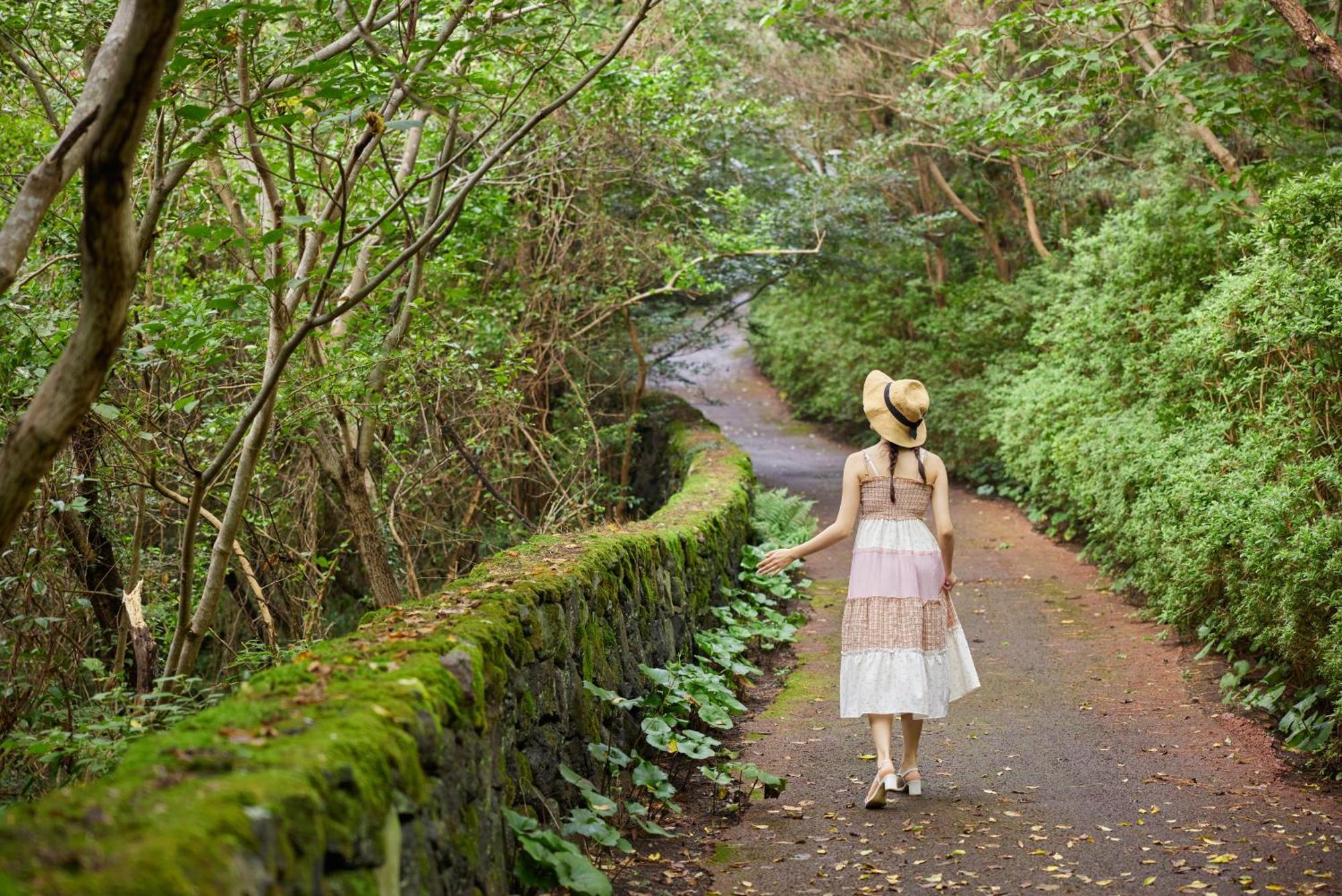 We Hotel Jeju Seogwipo Ngoại thất bức ảnh